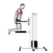 Assisted Chest Dip (Kneeling)