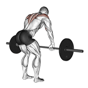 Barbell Rear Delt Row