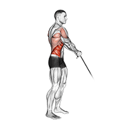 Cable Standing Lift