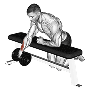 Dumbbell Over Bench One Arm Wrist Curl