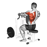 Lever Alternating Narrow Grip Seated Row