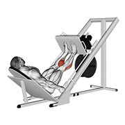 Sled 45° Calf Press