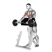 EZ Barbell Spider Curl V. 2