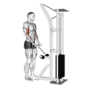 Cable Drag Curl