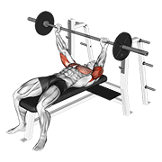 Barbell Pin Presses