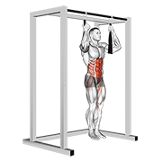 آویزان با زانو خم شده (Arm Slingers Hanging Bent Knee Legs)