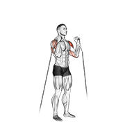 Cable Alternate Shoulder Press