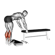 دونکی کالف ریز