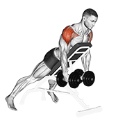 Dumbbell Incline Rear Lateral Raise