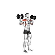 پرس سرشانه با دمبل ایستاده