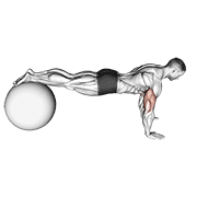 Push-Up (On Stability Ball) V. 2
