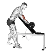 Dumbbell One Arm Zottman Preacher Curl